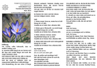 Download Passionszeit_Homepage.pdf