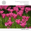 Download Gemeindebrief-Ruettenscheid-Maerz-Mai-2023.pdf